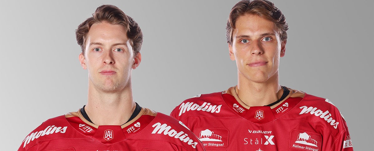 Kanadischer Doppelpack: Towerstars holen Angreifer-Duo aus Schweden