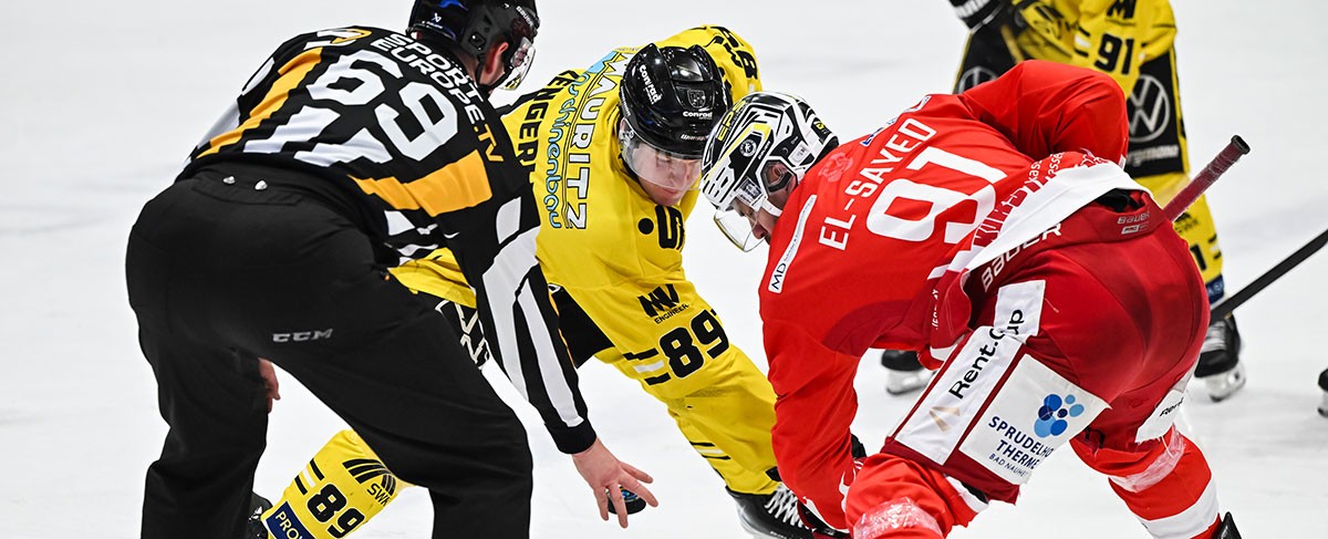 Starke Allianz: EC Bad Nauheim und Krefeld Pinguine kooperieren