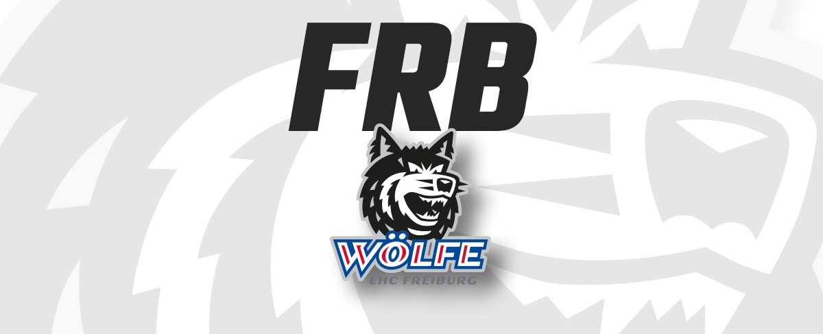 Fabian Ilestedt kehrt zu den Wölfen zurück