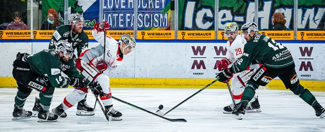 Vorschau 20. Spieltag: Bad Nauheim und Bietigheim wollen Form untermauern