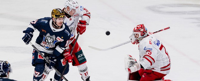 29. Spieltag: Regensburg zurück auf Siegesstraße