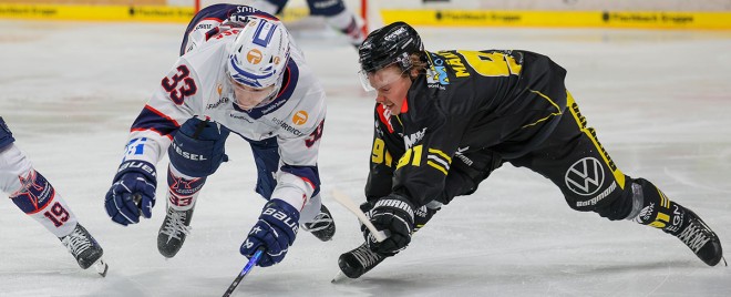 Vorschau 42. Spieltag: Towerstars wollen Pinguine ärgern