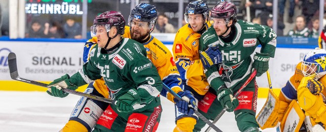 45. Spieltag: Füchse machen weiter Boden gut