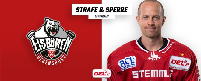 Ein Spiel Sperre für David Morley von den Eisbären Regensburg