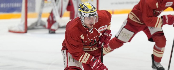 Neue Kraft an der Donau: Eisbären Regensburg verpflichten Taylor Vause