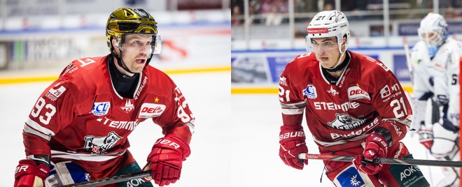 Personalentscheidungen bei den Eisbären: Fanliebling Angaran bleibt – Routinier Morley geht