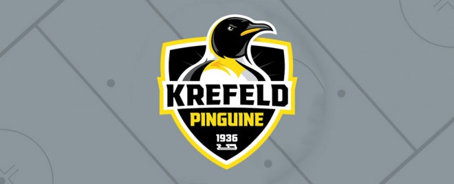 Krefeld Pinguine binden drei Akteure auch für die DEL2