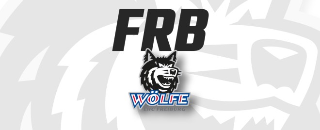 Fabian Ilestedt kehrt zu den Wölfen zurück