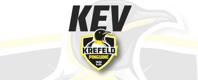 Krefeld Pinguine verpflichten Philip Gogulla